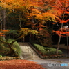 晩秋の京散歩Ⅴ  今熊野 観音寺２