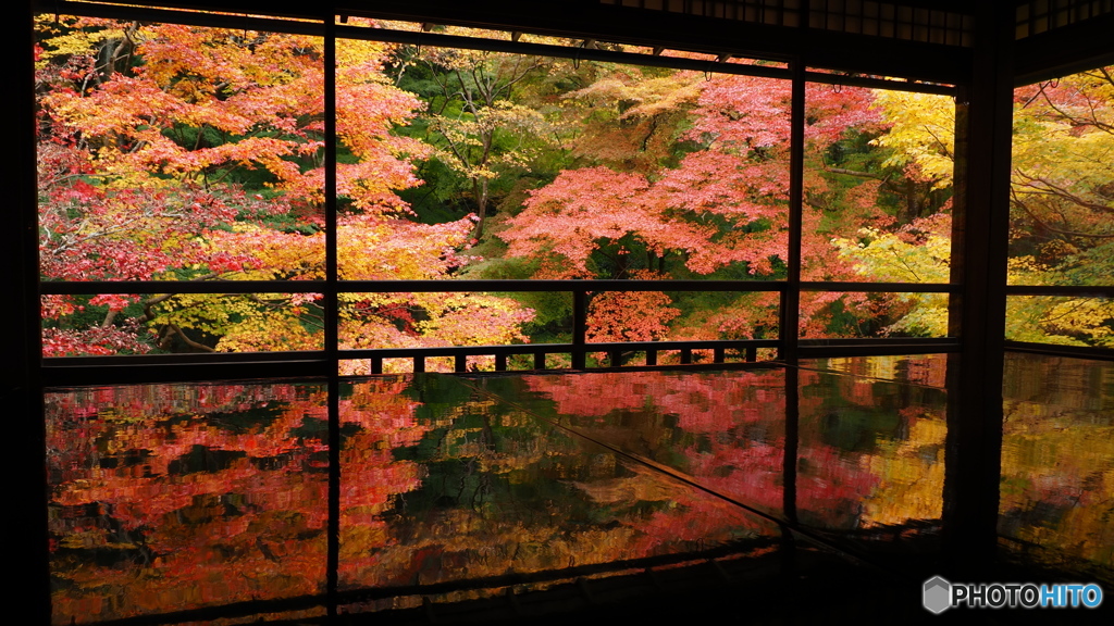晩秋の京散歩Ⅰ　瑠璃光院②