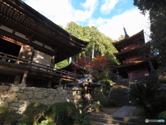 三十壱番目の寺院　８０８段を上る…長命寺(-_-;)