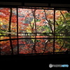 晩秋の京散歩Ⅲ　祐斎亭１