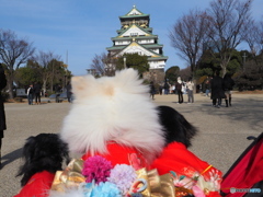 大阪城公園に行ってきたよ２