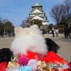 大阪城公園に行ってきたよ２