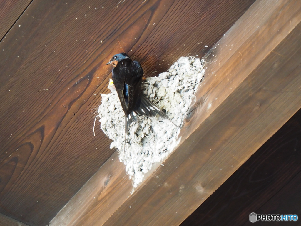 私ら生活かかってるねん！「ママ、お腹空いたよ～」