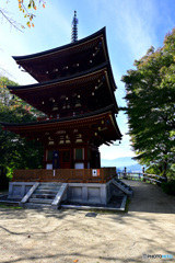 七番目の寺院・・・ラッキー７のお寺　岡寺　弐