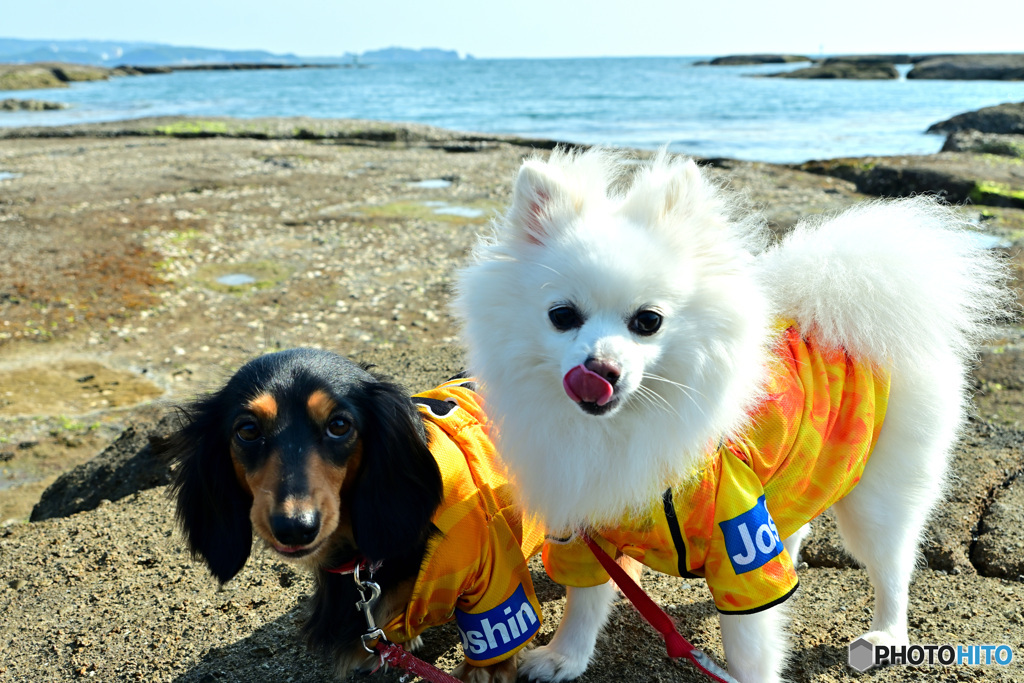 はじめての海体験