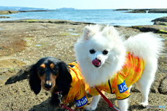 はじめての海体験