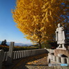 黄葉と寺院再び