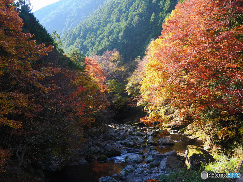 川迫川渓谷①