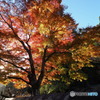 山寺と紅葉 四