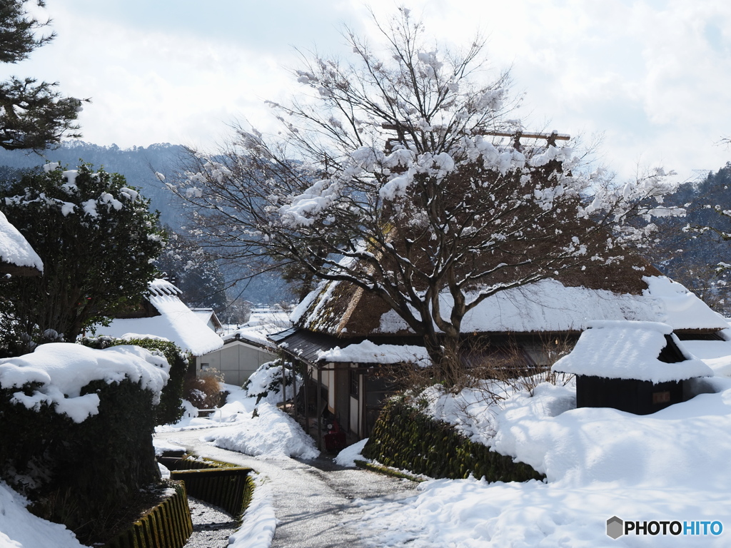 新年特大号　冬の京散歩～美山～壱