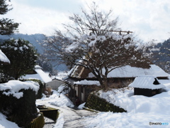 新年特大号　冬の京散歩～美山～壱