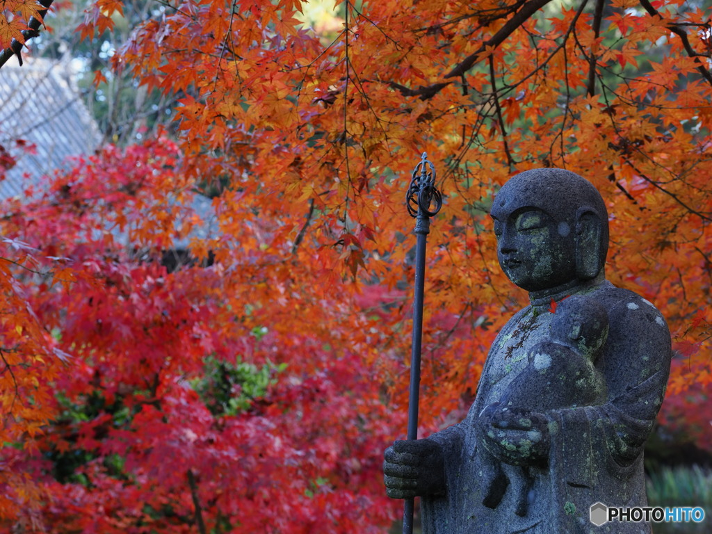 紅葉満喫中！　ついてきなはれ～！