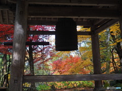 紅葉散歩百済寺 六