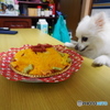 誕生日!(^^)!