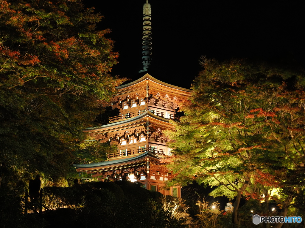 七番目の寺院…ラッキー７の岡寺  紅葉ライトアップ