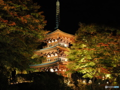 七番目の寺院…ラッキー７の岡寺  紅葉ライトアップ