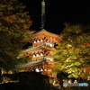 七番目の寺院…ラッキー７の岡寺  紅葉ライトアップ