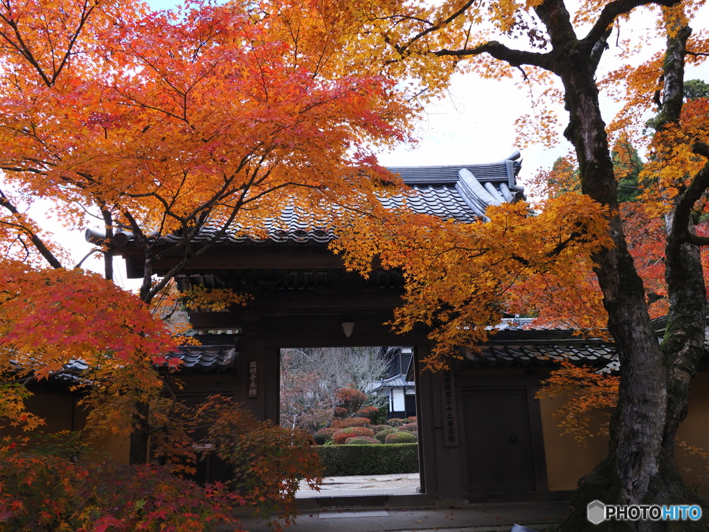 湖東の紅葉を楽しむ～西明寺
