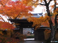 湖東の紅葉を楽しむ～西明寺