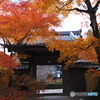 湖東の紅葉を楽しむ～西明寺