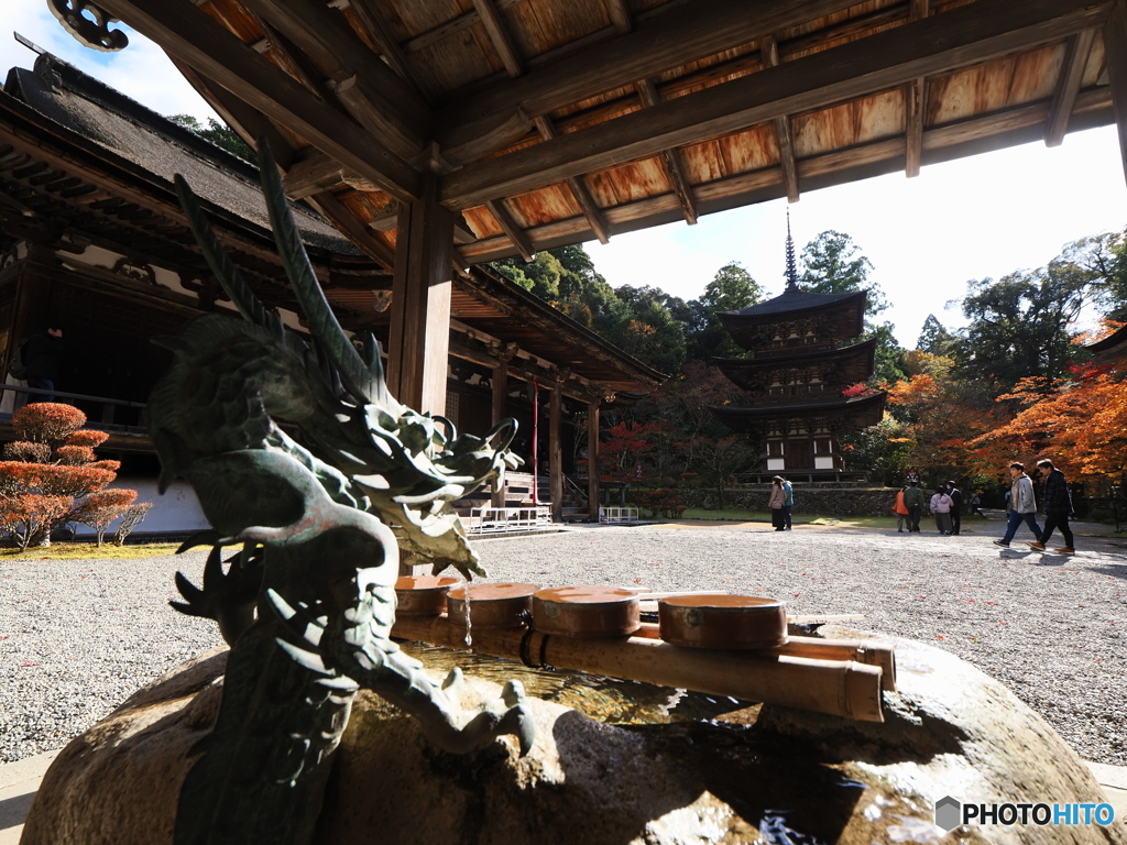 湖東の紅葉を楽しむ～西明寺