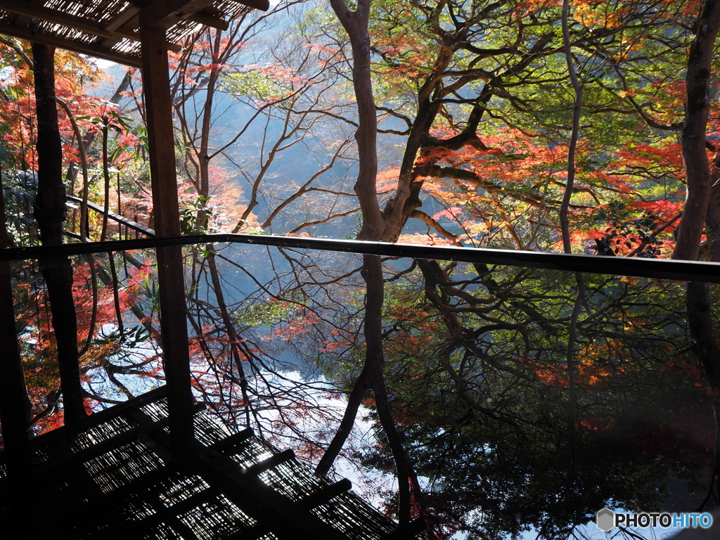 晩秋の京散歩Ⅲ　祐斎亭４