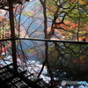 晩秋の京散歩Ⅲ　祐斎亭４