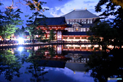 なら公園 燈花会と東大寺