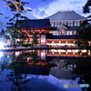 なら公園 燈花会と東大寺