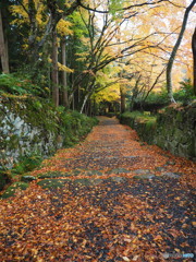 紅葉散歩百済寺 終