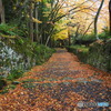 紅葉散歩百済寺 終