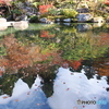湖東の紅葉を楽しむ～百済寺