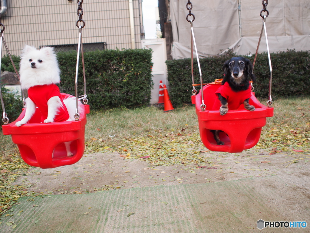 朝の散歩３　公園でご満悦♪