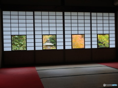 晩秋の京散歩Ⅱ 雲龍院3