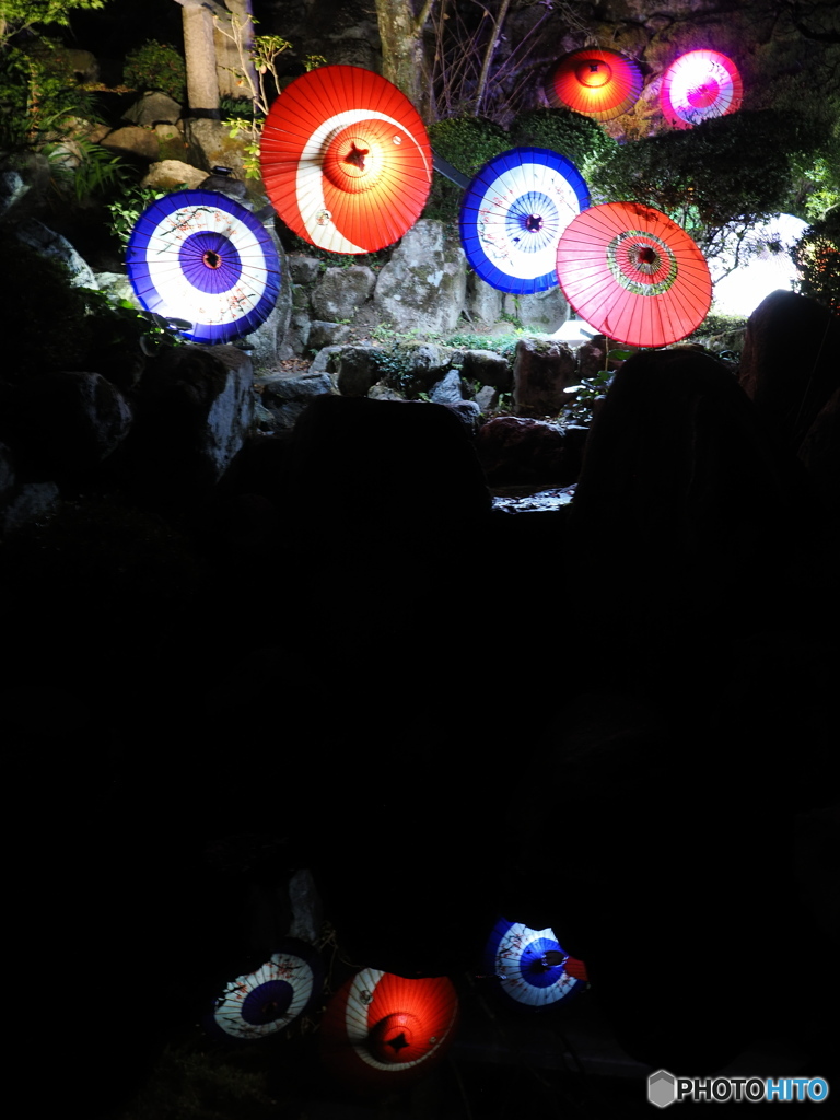 七番目の寺院…ラッキー７の岡寺  紅葉ライトアップ