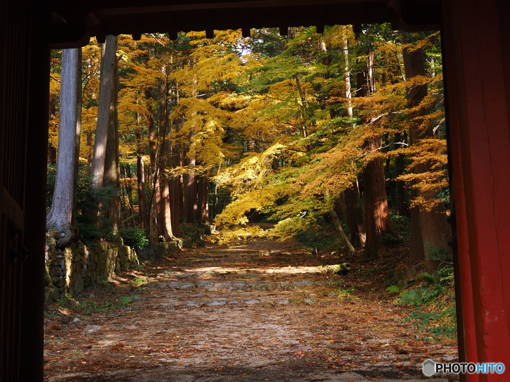 湖東の紅葉を楽しむ～百済寺