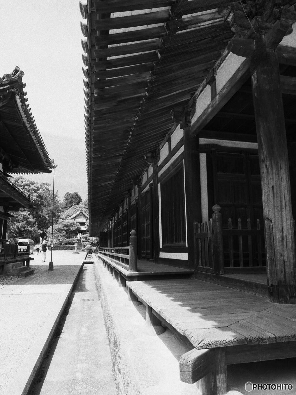 晩春の唐招提寺  四