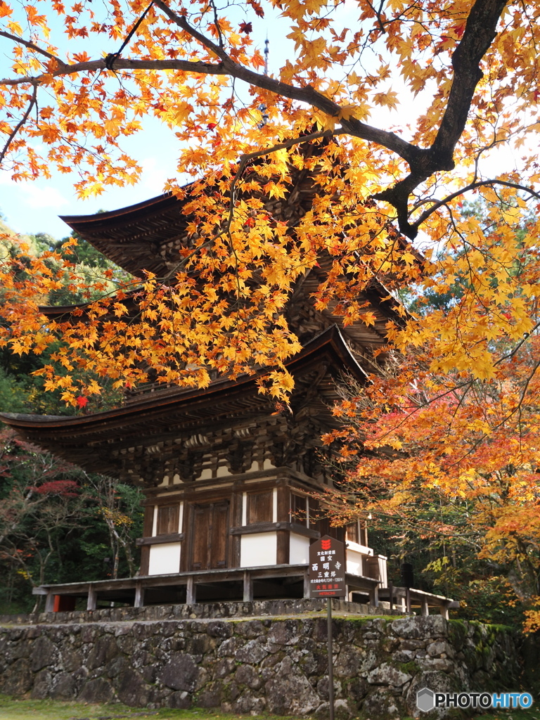 湖東の紅葉を楽しむ～西明寺