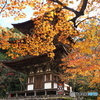 湖東の紅葉を楽しむ～西明寺
