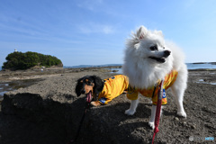 はじめての海体験