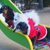 メリークリスマス！Ⅱ