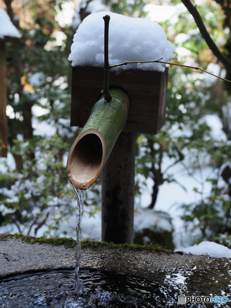 新年特大号　冬の京散歩Ⅱ  三千院③