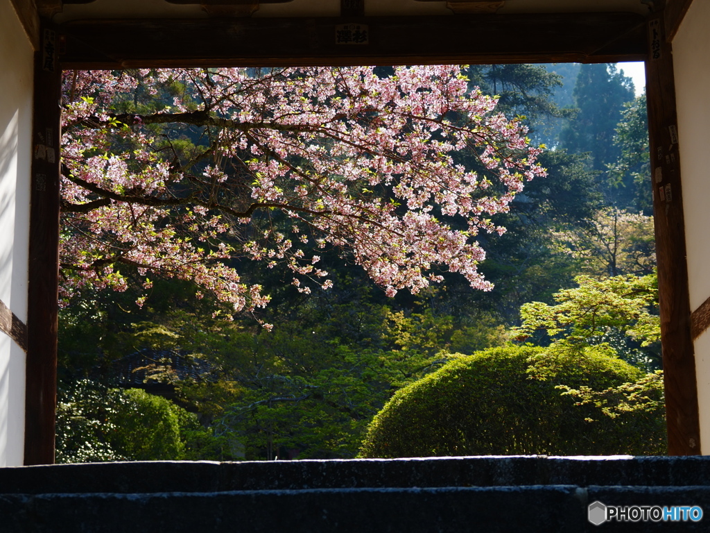 額縁３　長岳寺