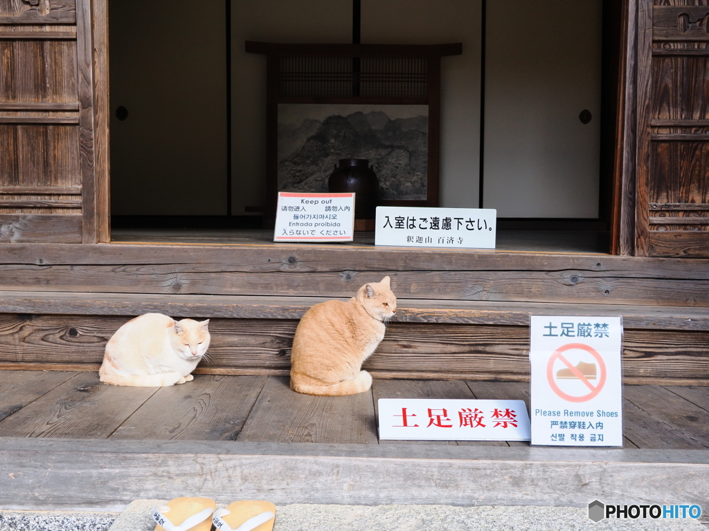 土足厳禁！（#^ω^） ん？？？