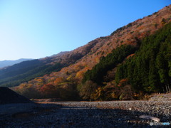 川迫川渓谷③