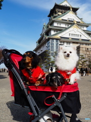 大阪城公園に行ってきたよ３