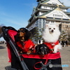 大阪城公園に行ってきたよ３