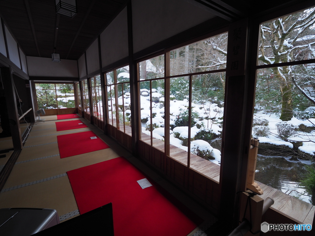 新年特大号　冬の京散歩Ⅱ  三千院④