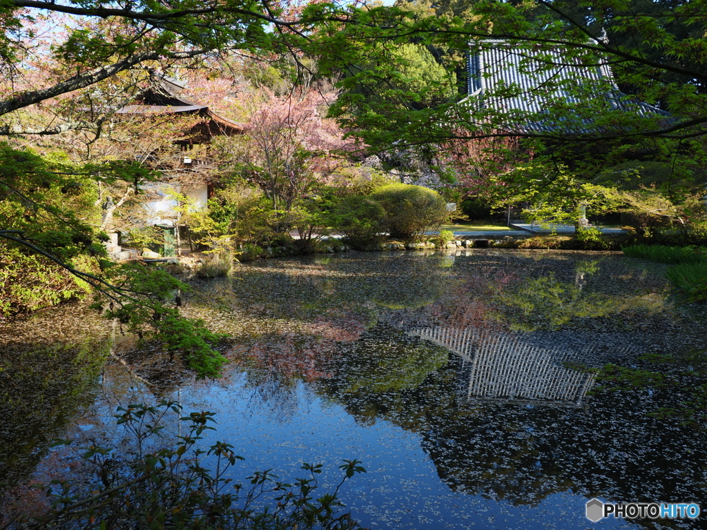 長岳寺にて