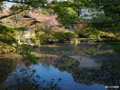 長岳寺にて